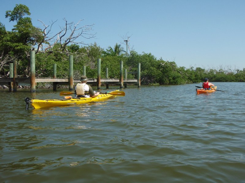 Captiva052409-5270049.jpg - Kayaking from McCarthy Marina to Blind Pass