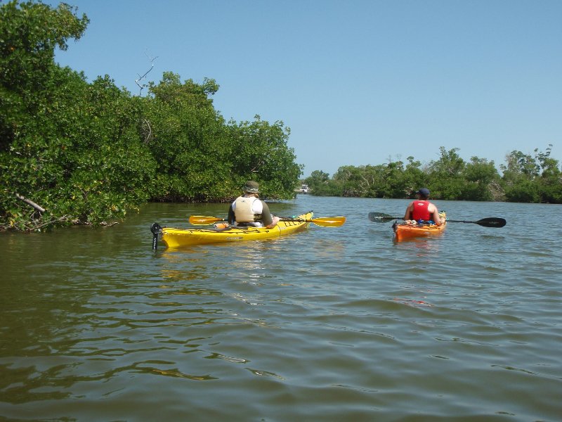 Captiva052409-5270050.jpg - Kayaking from McCarthy Marina to Blind Pass