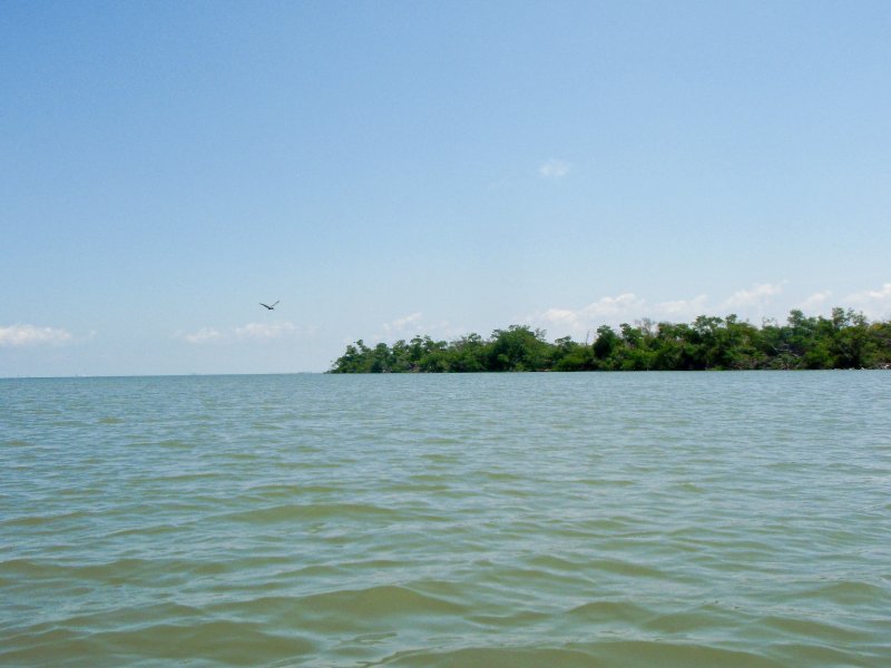 Captiva052409-5270056.jpg - Kayaking from McCarthy Marina to Blind Pass