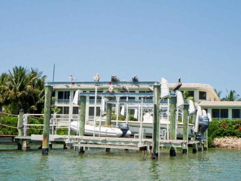 Captiva052409-5270061.jpg - Kayaking from McCarthy Marina to Blind Pass