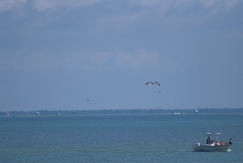 Captiva052409-6992.jpg - JACK KOZIK