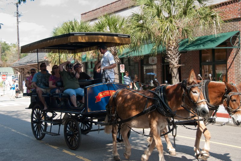 Charleston100309-9632.jpg - Palmetto Carriage Tour on Church St.