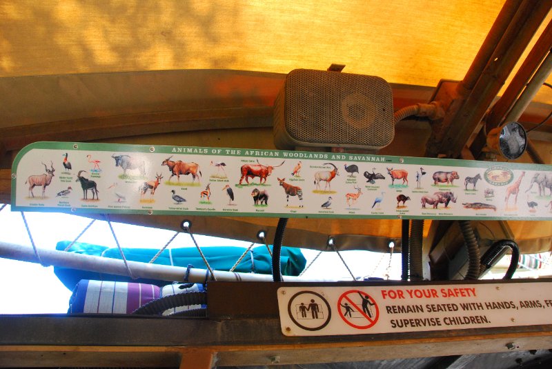 DisneyWorld022709-3151.jpg - Kilimanjaro Safaris