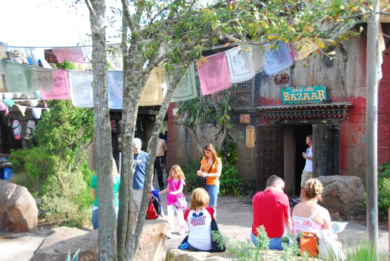 DisneyWorld022709-3083.jpg - Expedition Everest Attraction