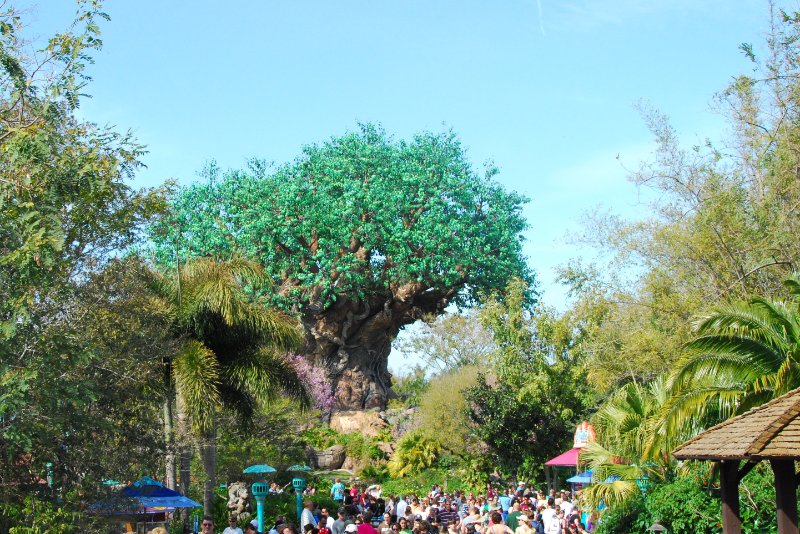 DisneyWorld022709-3317.jpg - Animal Kingdom - The Tree of Life