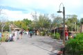 DisneyWorld022709-3086