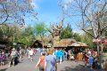 DisneyWorld022709-3137