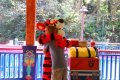 DisneyWorld022709-3303