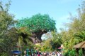 DisneyWorld022709-3317