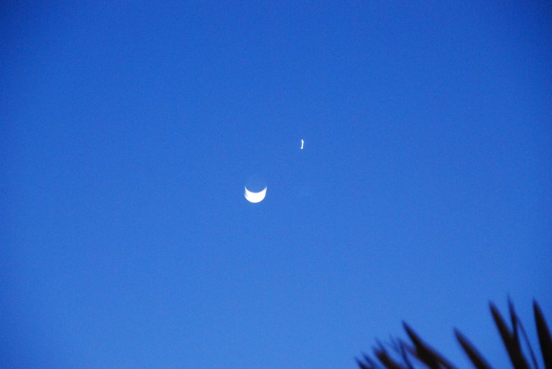 DisneyWorld022709-3045.jpg - Moon and Venus