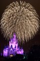 DisneyWorld022709-3471