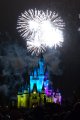 DisneyWorld022709-3473