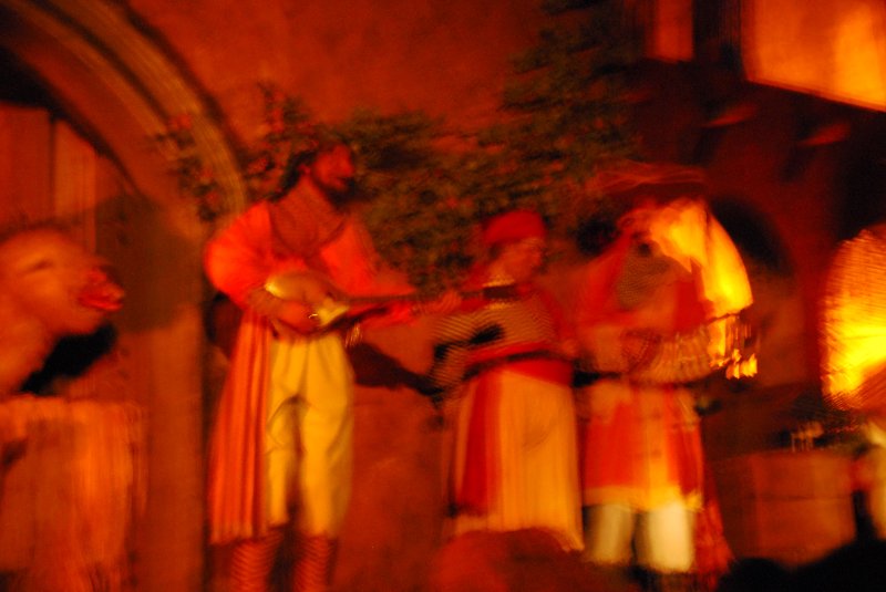 DisneyWorld022709-2931.jpg - Pirates of the Caribbean