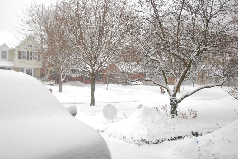 Jan09-2264.jpg - Snowy Marls Court