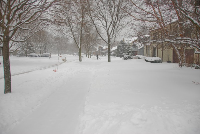 Jan09-2267.jpg - Snowy Marls Court