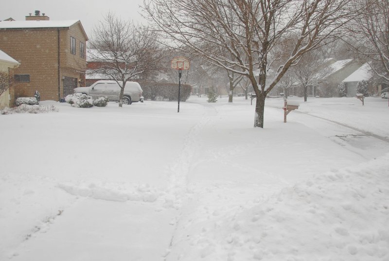 Jan09-2268.jpg - Snowy Marls Court