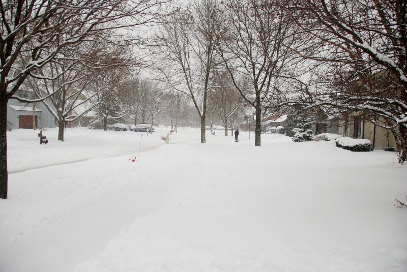 Jan09-2272.jpg - Snowy Marls Court