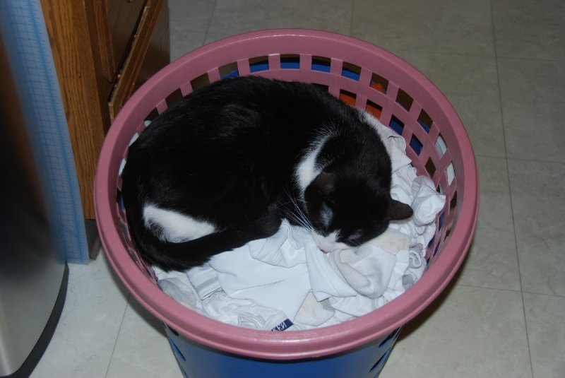 Jan09-2330.jpg - JACK KOZIK