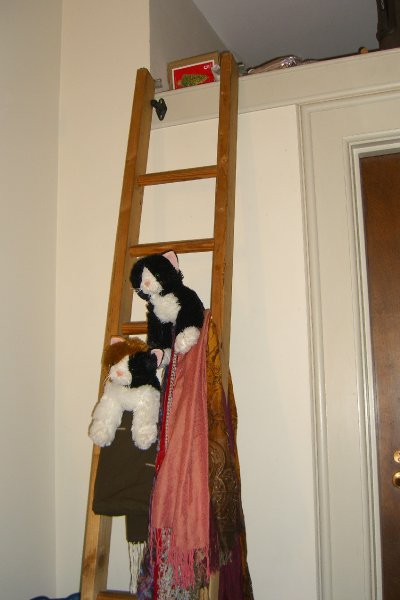 LizRISD090809-1900.jpg - Liz Move's Into Dwight House, Fall 2009 Jr Year at RISD