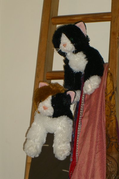 LizRISD090809-1901.jpg - Liz Move's Into Dwight House, Fall 2009 Jr Year at RISD