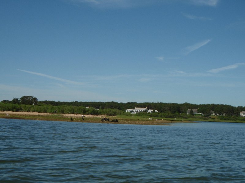 MV071009-7110046.jpg - Kayaking Sengekontacket Pond