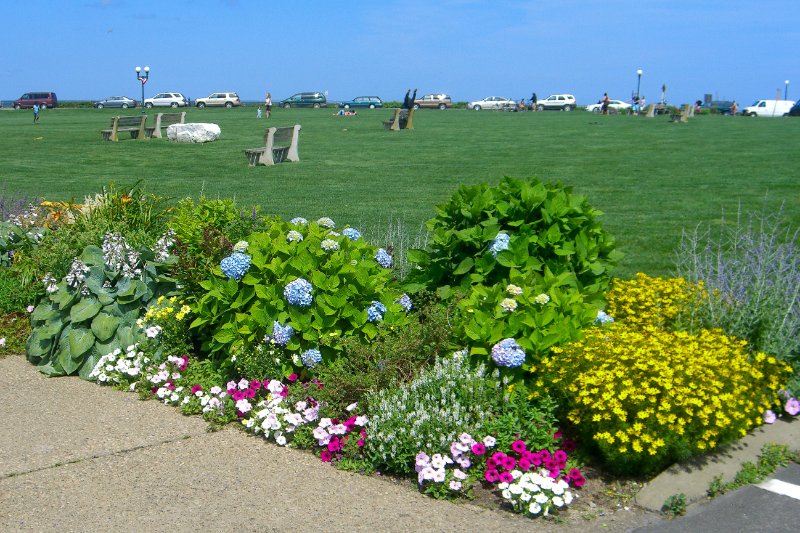 CIMG1713-2.jpg - Ocean Park in Oak Bluffs