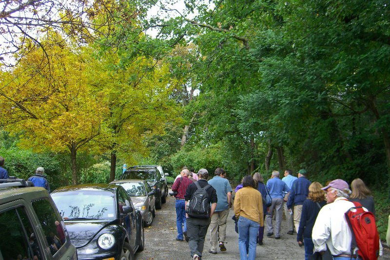 Providence101009-2081.jpg - Walking Tour of Historic Rhode Island School of Design Campus