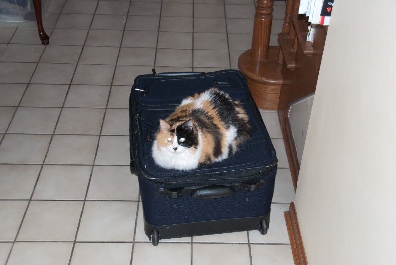 Purdue092609-9496.jpg - Neko