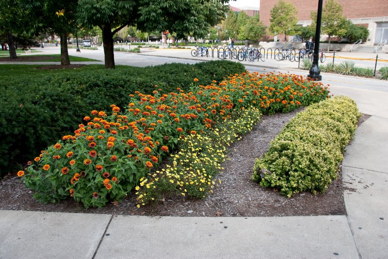 Purdue092609-9562.jpg - Flowers on Purdue Memorial Mall