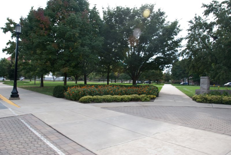 Purdue092609-9563.jpg - Flowers on Purdue Memorial Mall