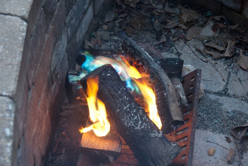 Thanksgiving112609-0089.jpg - Thanksgiving 2009