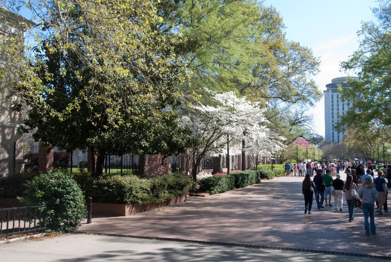 USC040409-4546.jpg - National Academy Center (left), Capstone House (right background)
