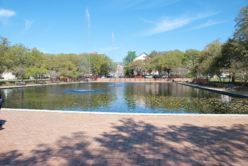 USC040409-4569.jpg - Thomas Cooper Library, reflecting pool