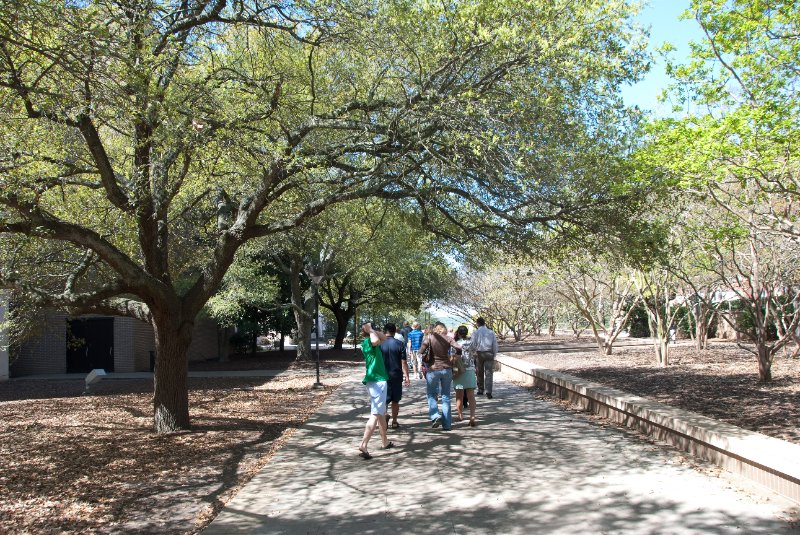 USC040409-4585.jpg - South Carolina "Commissioners' Oak"
