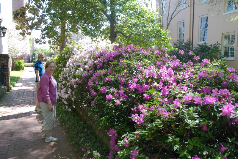 USC040409-4634.jpg - USC Horseshoe