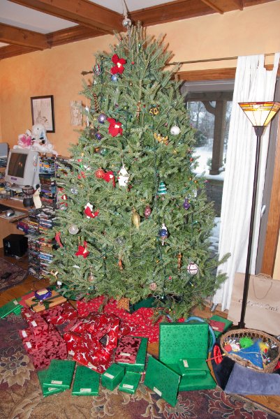 DSC_0514.jpg - Getting Ready for Xmas Eve at the Grandparent's House