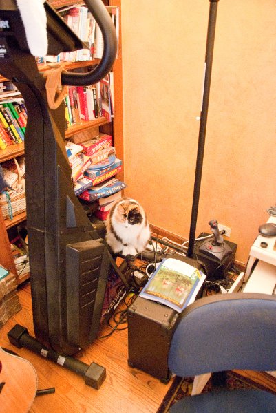 DSC_0519.jpg - Getting Ready for Xmas Eve at the Grandparent's House