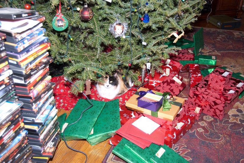 DSC_0520.jpg - Getting Ready for Xmas Eve at the Grandparent's House