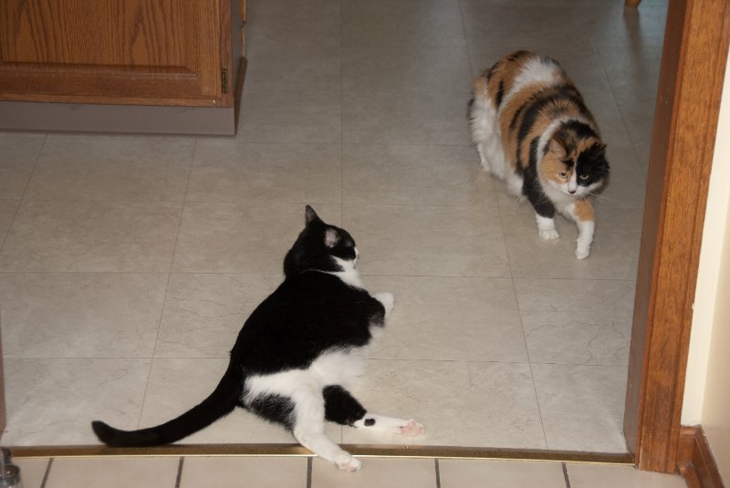 DSC_0579.jpg - Christmas Morning