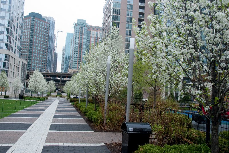 Chicago050109-6177.jpg - Lakeshore East Park