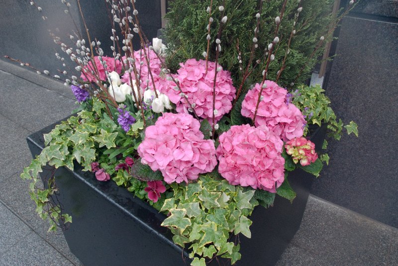 Chicago050109-6224.jpg - River East Center