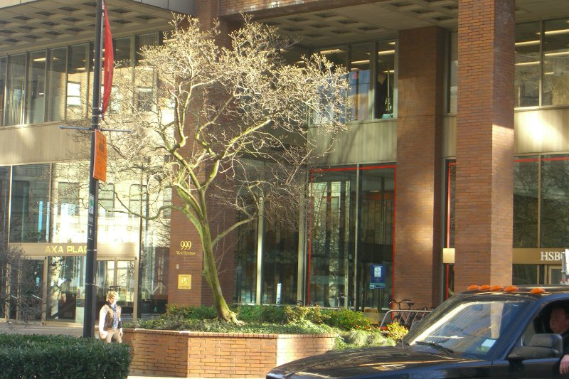 Vancouver020309-1428.jpg - AXA Place