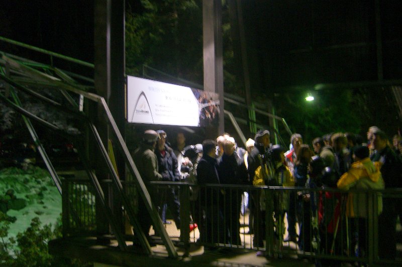 Vancouver020309-1459.jpg - Cable Car Ride upto Grouse Mountain