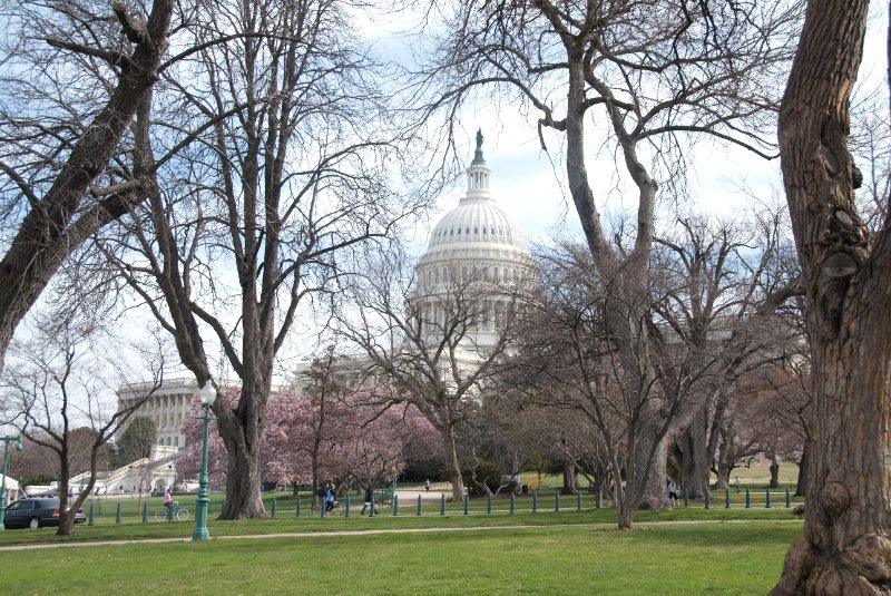 WashDC032709-4262.jpg - The United States Capitol, West Front