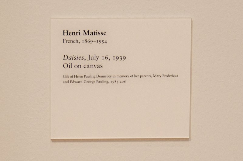 DSC_0091.jpg - Henri Matisse, "Daises," July 16, 1939. Oil on canvas.