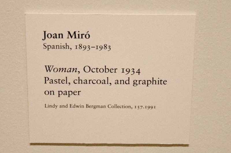DSC_0107.jpg - Joan Miró, "Woman," 1934. Pastel, charcoal, and graphite on paper.