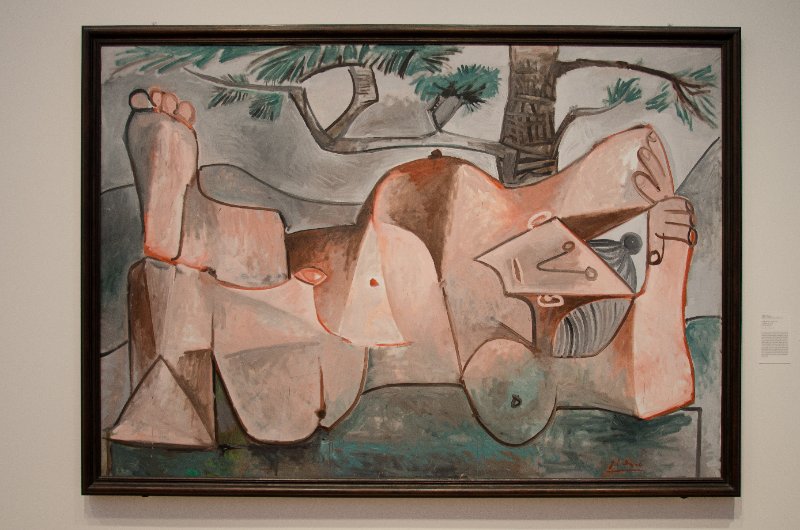 DSC_0112.jpg - Pablo Picasso, "Nude under a Pine Tree," January 20, 1959.  Oil on canvas.