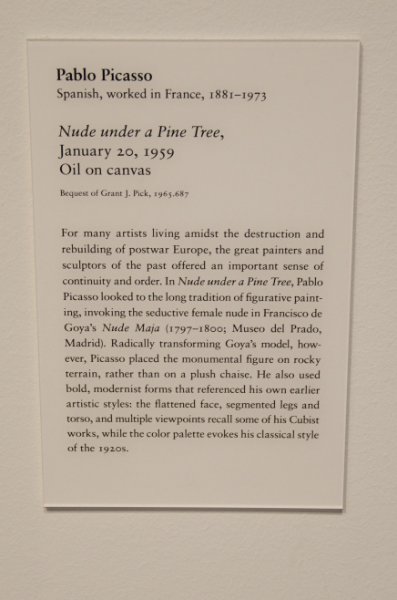 DSC_0113.jpg - Pablo Picasso, "Nude under a Pine Tree," January 20, 1959.  Oil on canvas.