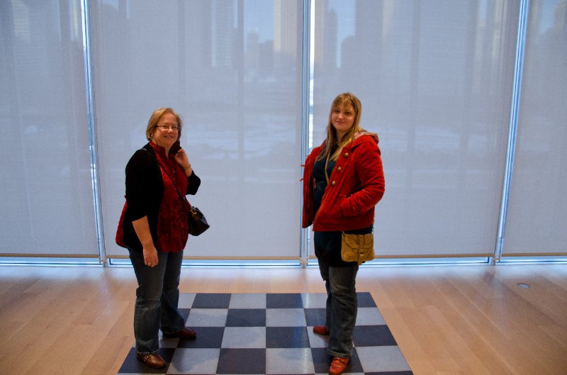 DSC_0122.jpg - Carl Andre, "Steel-Aluminum Plain," 1969.