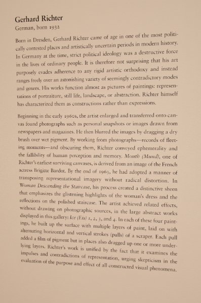 DSC_0125.jpg - Gerhard Richter, "Woman Descending the Staircase (Frau die Treppe herabgehend)," 1965. Oil on canvas.